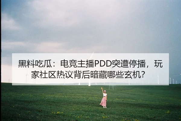 黑料吃瓜：电竞主播PDD突遭停播，玩家社区热议背后暗藏哪些玄机？